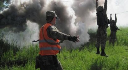 Минобороны Украины закупило смесь для окуривания деревьев вместо дымовых завес