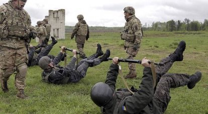 На Украине начнется обучение батальонных тактических групп