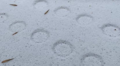 Empreintes dans la neige