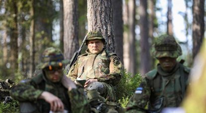 Эстонское Минобороны начало подготовку к ведению партизанской войны в случае «российского вторжения»