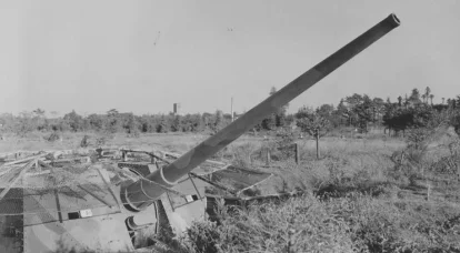 Artillerie antiaérienne japonaise de moyen et gros calibre