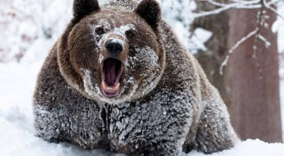 Russian bear is back. The Soviet Union is reborn, but the cold war is not over