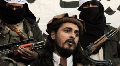 Ударом беспилотного самолета ликвидировали ключевого пакистанского террориста
