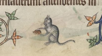 Kočky ve středověku