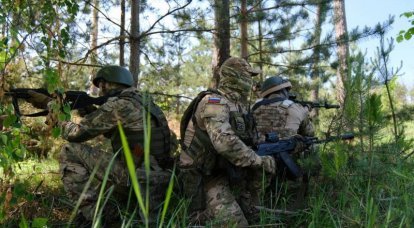 В ЛНР прокомментировали попытки ВСУ нанести удар по флангам российских войск на краснолиманском направлении