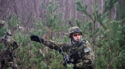 Baltic States advised to prepare for a guerrilla war against the "Russian army"