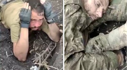«Зарываются в землю и обречённо ждут плена»: глава Чечни прокомментировал пленение очередной группы украинских военных