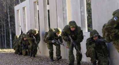 In the northeast of Estonia began a joint exercise "Storm warning"
