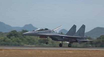 "자체 수리는 가격의 절반입니다": 말레이시아 방위 산업은 Su-30MKM 전투기를 계속 사용할 것을 약속합니다