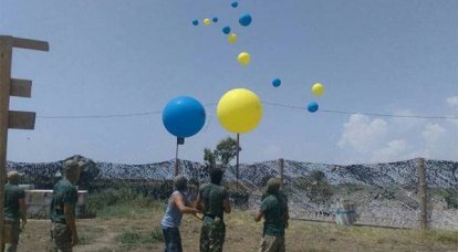 Deliliğin yeni yönleri: İslami "şahinler", Rus işgaline karşı bir önlem olarak, Kırım'a doğru birkaç balon açtı "