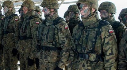Американский эксперт: После поражения ВСУ в конфликт может вмешаться армия Польши