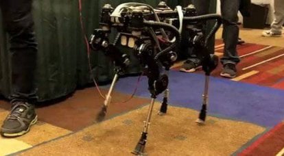 "SQ1" - Kore'den dört bacaklı robotun Koreli rakibi