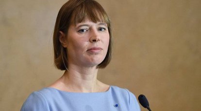Эстония рассчитывает стать непостоянным членом СБ ООН
