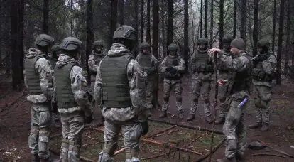 Литовские русофобы продвигают проведение «учебных миссий» НАТО на Украине