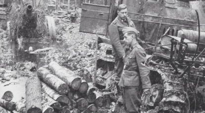 How the Wehrmacht met with the Russian forest