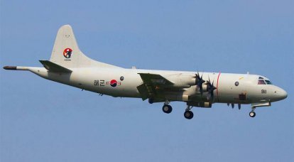 Самолёт южнокорейских ВМС осуществил ошибочный сброс бомб и ракет в Японское море