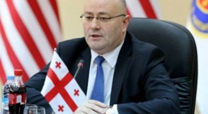 Mídia: O chefe do Ministério da Defesa da Geórgia falou contra a criação de uma força naval no país