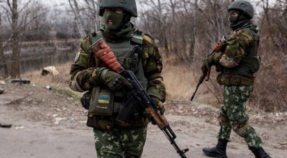우크라이나와 러시아 군대에 의한 DPR과 LPR 영토의 공동 순찰에 관한 OSCE 성명. 현실인가 도발인가?