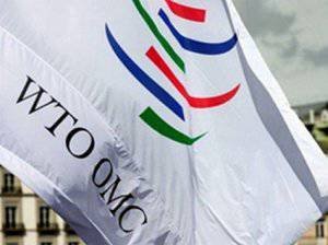 RF는 WTO 가입시 의정서를 비준했다.