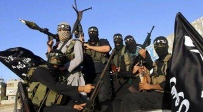 Los medios británicos son conscientes de una doble reducción en los "salarios" de los militantes de Daesh (ISIS)