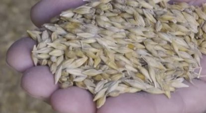 Анкара сообщила о начале вывоза зерна с Украины