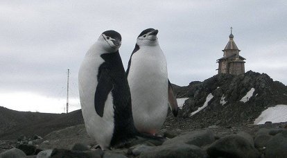 Битва за Антарктиду