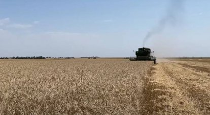 Prime Minister of Poland called for limiting the amount of Ukrainian grain sent to the EU