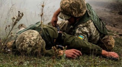 Um documento assinado pelo Comandante-em-Chefe das Forças Armadas da Ucrânia Zaluzhny com números de perdas das Forças Armadas da Ucrânia entrou na Rede
