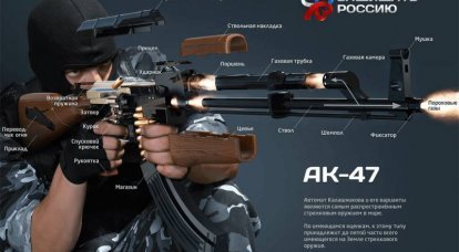 Kalashnikov automático. Infográficos