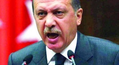 Эрдоган нанёс удар нам в спину. Чем ответим?