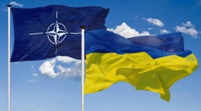 Премьер Эстонии и генсек НАТО анонсировали «сюрприз», касающийся членства Украины в альянсе