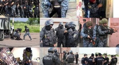 Государственная служба правопорядка на Украине – личная армия Президента?