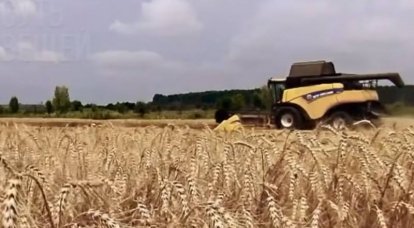 Die französischen Behörden haben eine Landoption für den Export von Getreide aus der Ukraine vorgeschlagen