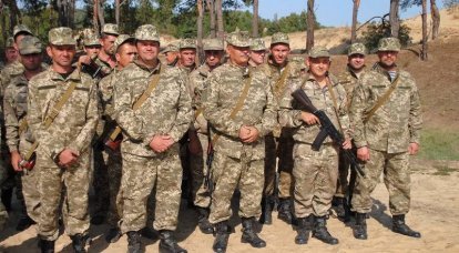 В армии Украины может появиться новый вид войск