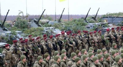 על מה הם מסתמכים בכוחות המזוינים של אוקראינה