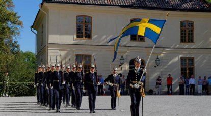 Эксперт рассказал, куда завела Швецию «парадигма мира»