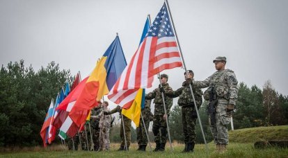 French Foreign Ministry spokesman: Ukraine's accession to NATO is not on the agenda