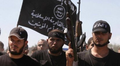 ISIS를 Daesh로 개명해야 합니까? (조사)