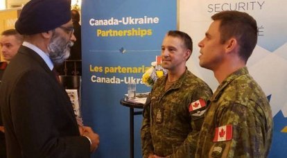Радикалы Украины отреагировали на слова главы МО Канады о пылящейся на складах военной помощи