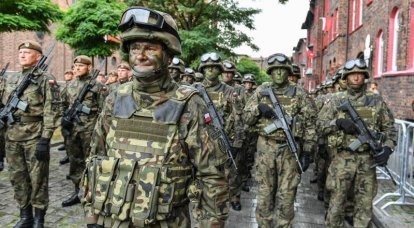 Le ministère de la Défense de Pologne a lancé un appel d'offres pour l'achat de milliers d'ensembles de camouflage «tropical» et «désert»
