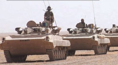 Военные Алжира высоко оценили российский «Бережок»