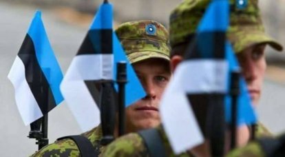 Представители Пентагона ознакомились с системой обороны Эстонии