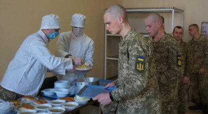 यूक्रेन में, रक्षा मंत्रालय द्वारा भर्तियों के विमुद्रीकरण को कानूनी रूप से मान्यता दी गई थी
