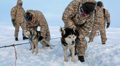 在北极的条件下，空降部队第一次在狗拉雪橇上进行长达数公里的游行