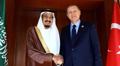 土耳其和沙特阿拉伯领导人讨论安非他明类兴奋剂的现状