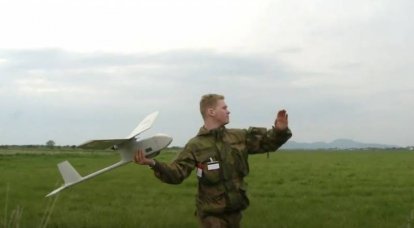 В Псковской области отметили активизацию беспилотников НАТО на российской границе