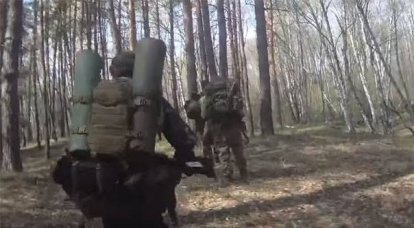 На Украине создаётся егерская бригада для боевых действий в лесах и на болотах