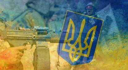 Andrey Vajra. Kiev'deki devrim, makineli tüfeklerle sorumsuz vatandaşlardan korunacak