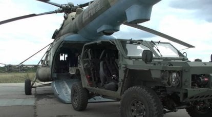 El Ministerio de Defensa decidió formar unidades equipadas con buggies ligeros