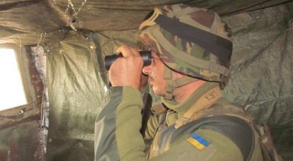 ВСУ публикуют кадры обстрела дома в ЛДНР из лесопосадки